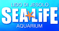 Sea Life Aquarium Lido di Jesolo